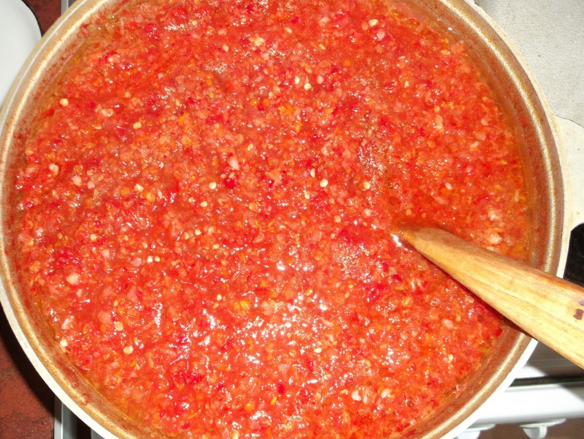 Аджика Затеваха