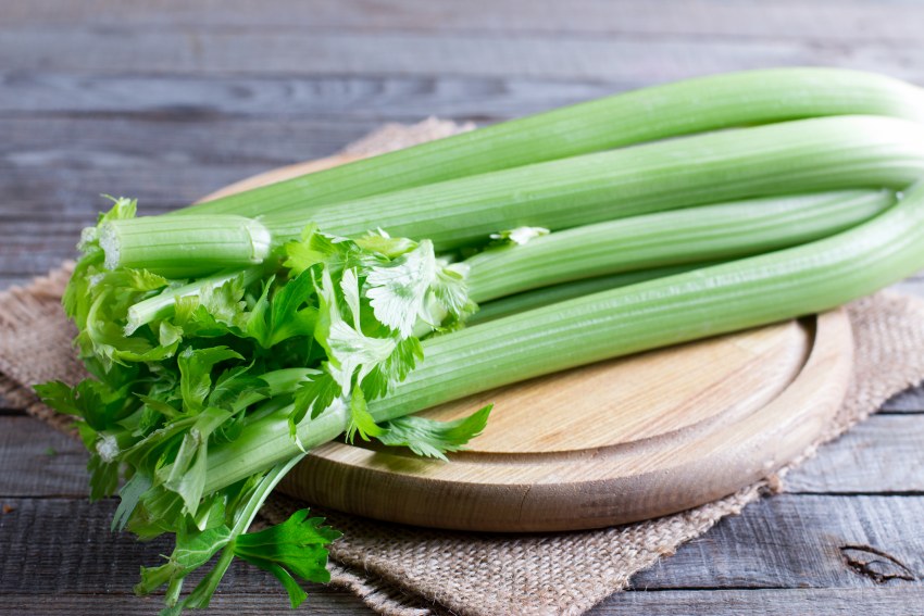 Сельдерей celery