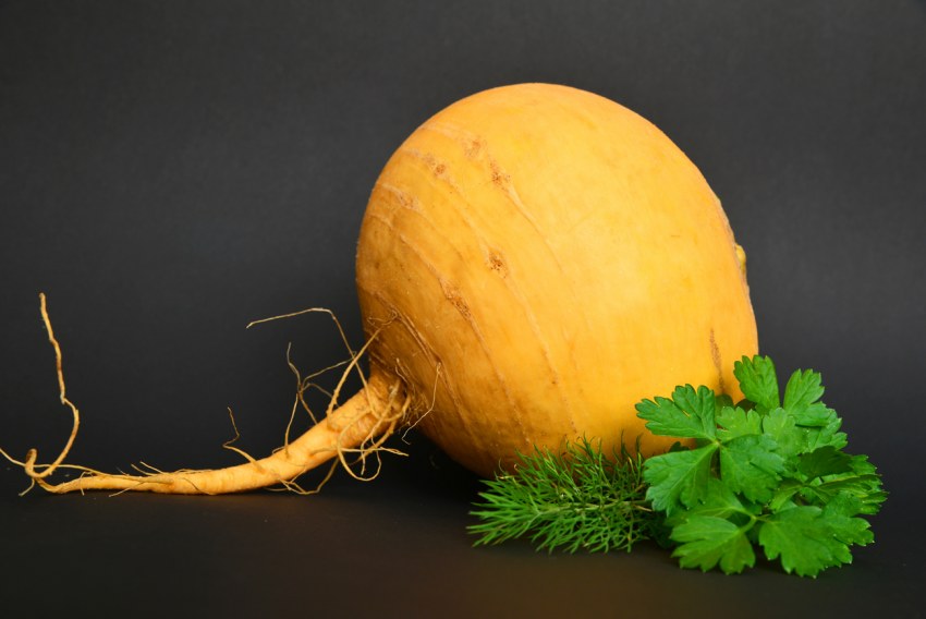 Зелень растения turp