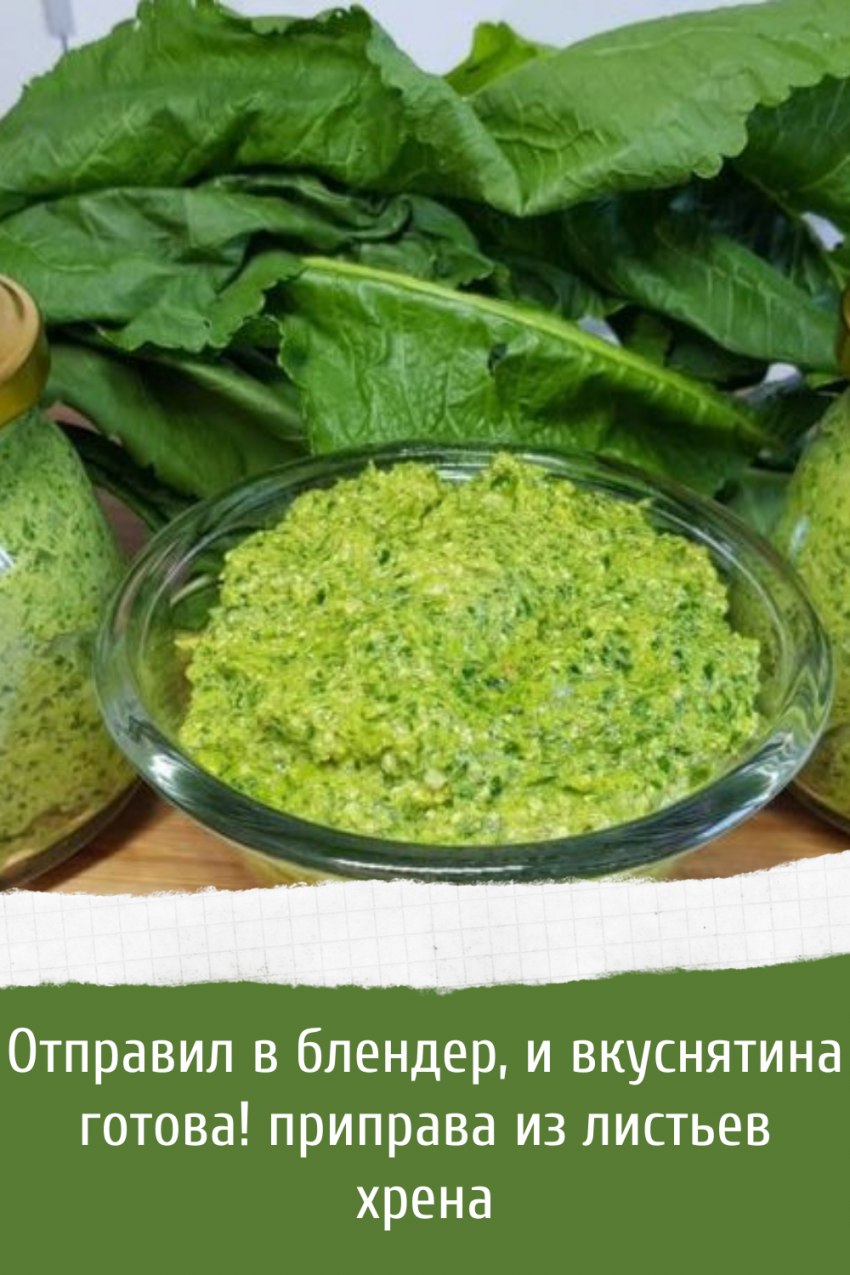 Заготовки из хрена на зиму золотые рецепты