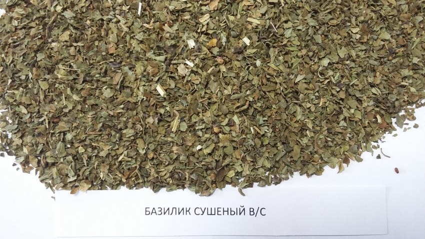 Базилик (Рейган) сушеная