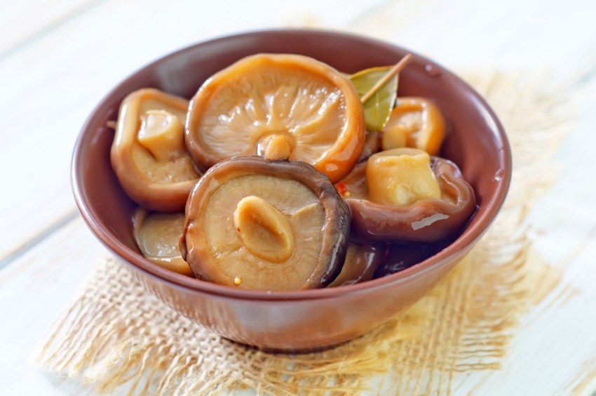 Рыжики маринованные на зиму