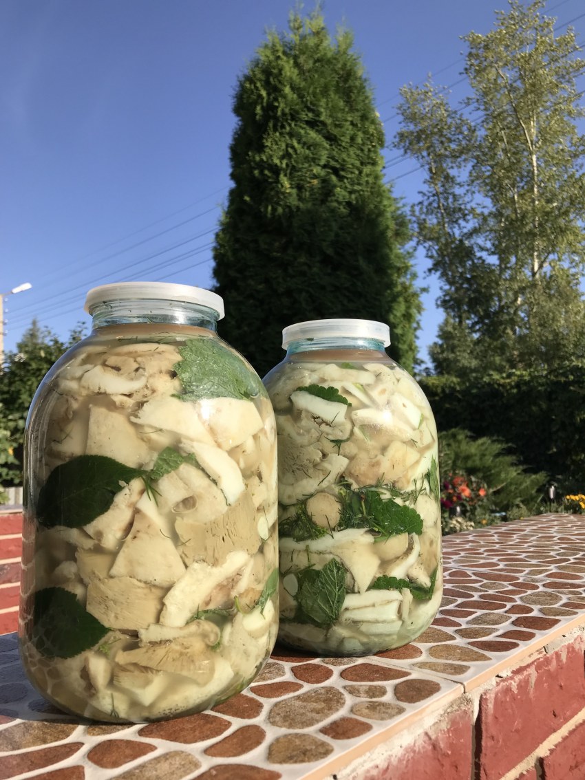 Ассорти маринованных грибов