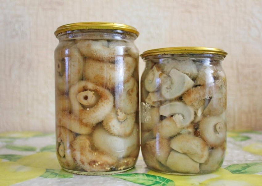 Грибы для мариновки