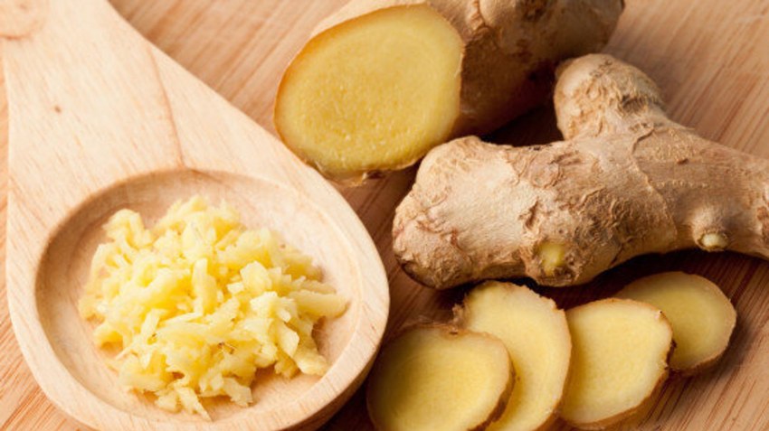 Zingiber officinale