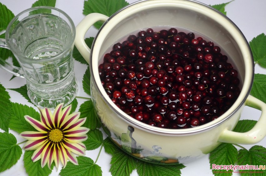 Желе из черной смородины с желатином