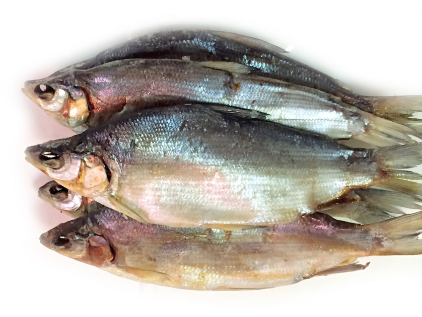 Хариус горячего копчения