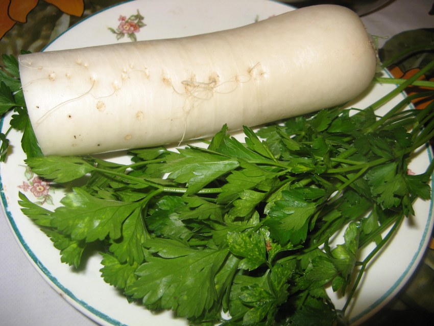 Дайкон арт