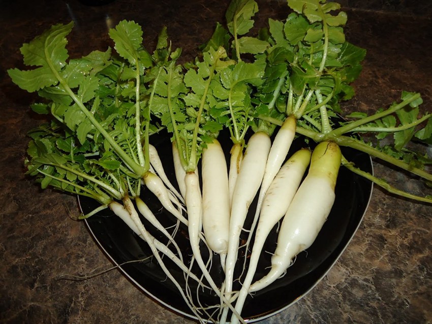 Салат с редькой и говядиной