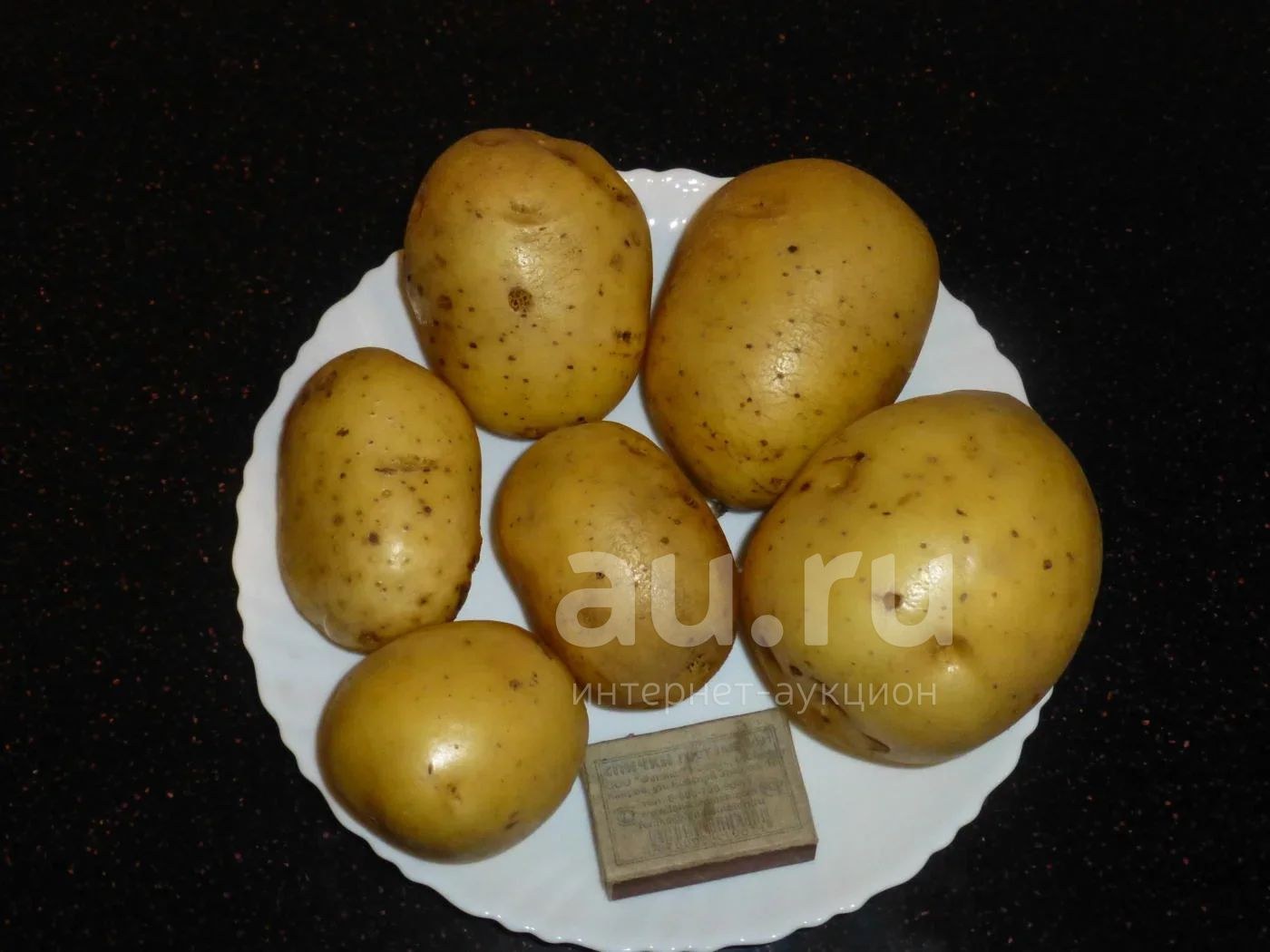 картофель гала фото