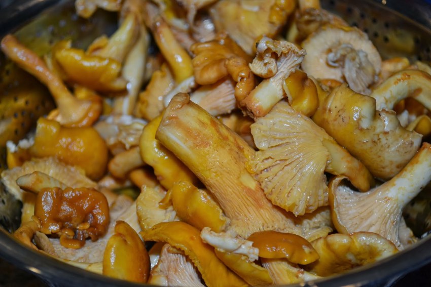 Жареха с лисичками
