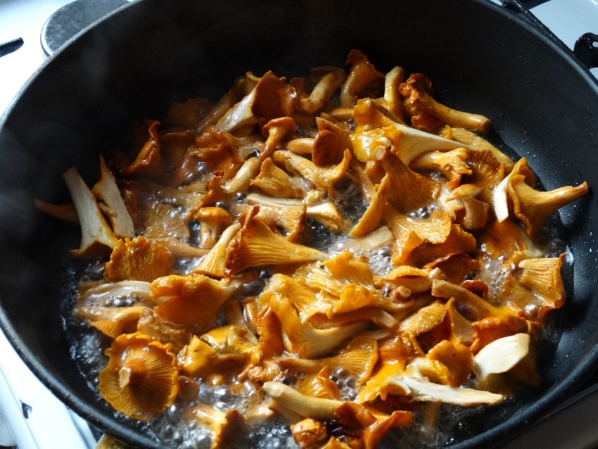 Грибы маринованные лисички с картошка