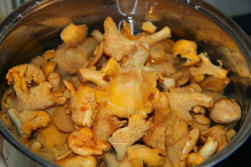 Картошка с лисичками