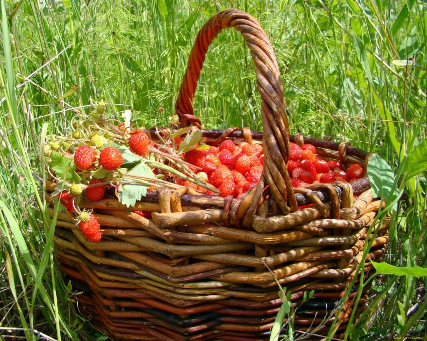 Клубника в шоколаде в корзине