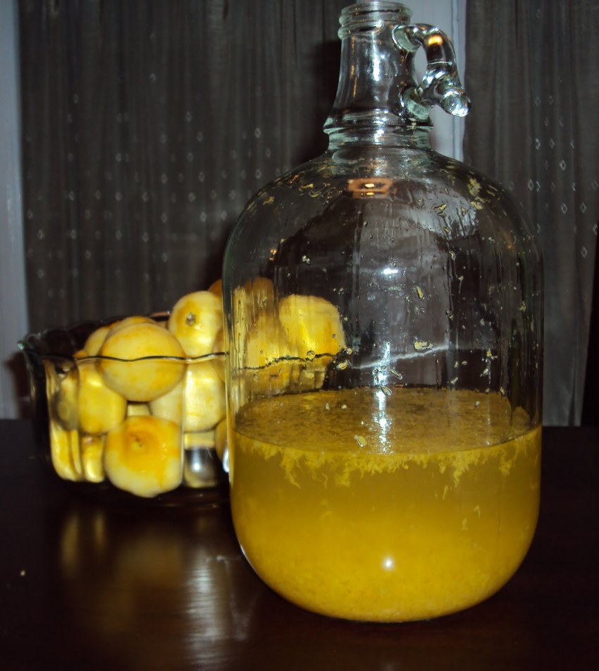 Лимон и микрофлора