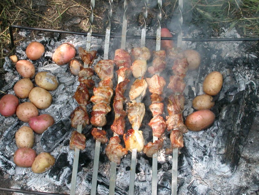 На природе шашлык из перепелок