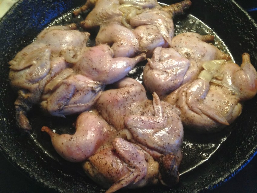 Мясное шоу