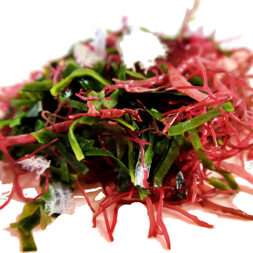 Корейская водоросльа Slea Seaweed