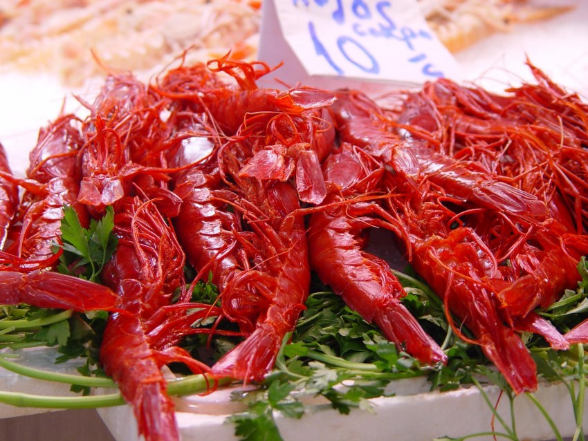 Красная Королевская креветка