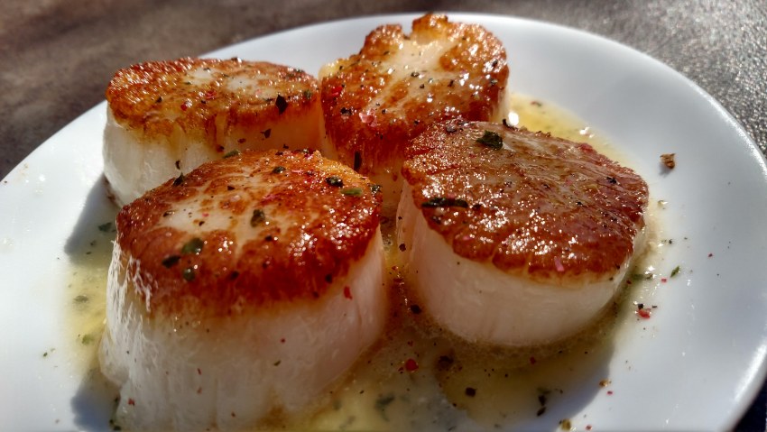 Морепродукты гребешки