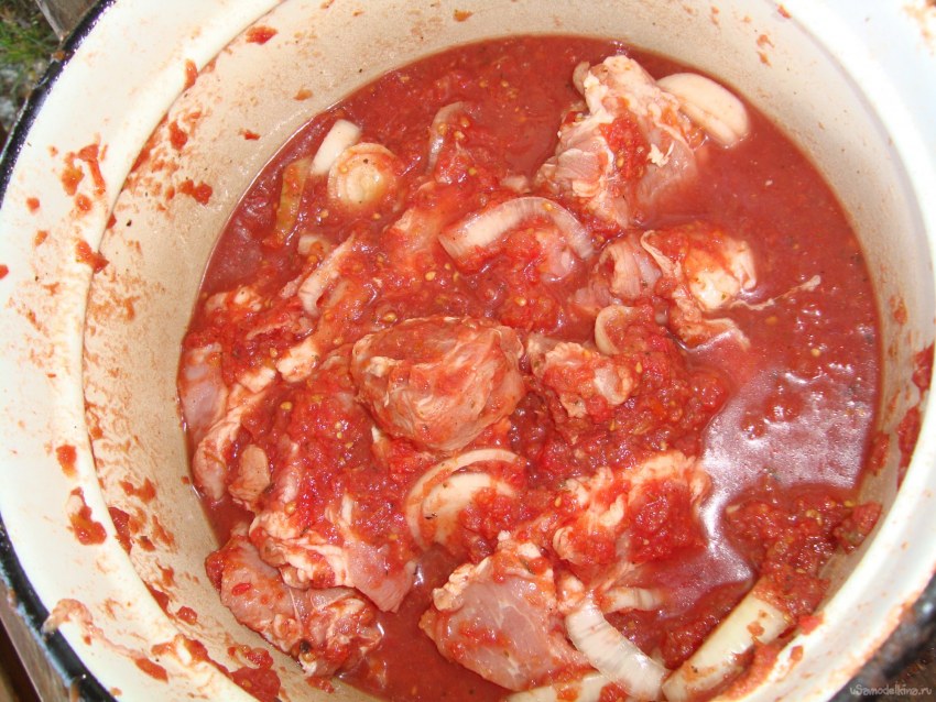 Мясо в томатном соке
