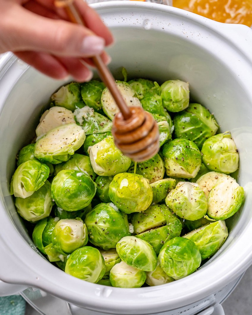 Rock Sprouts