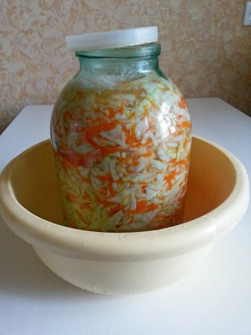 Брожение квашеной капусты