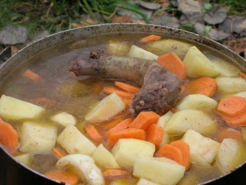 Шулюм казачий