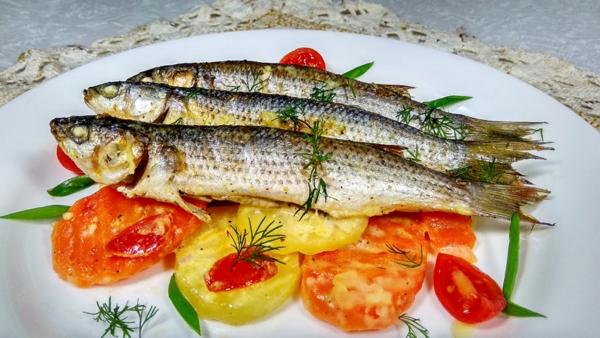 Mullet Fish кефаль