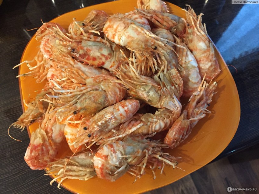 Креветка гренландская морской дракон