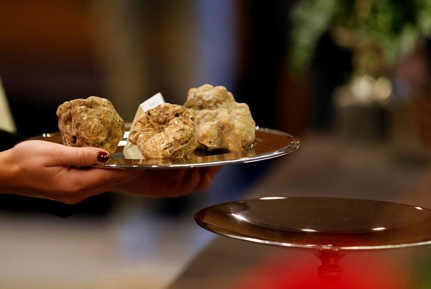 Italian White Alba Truffle