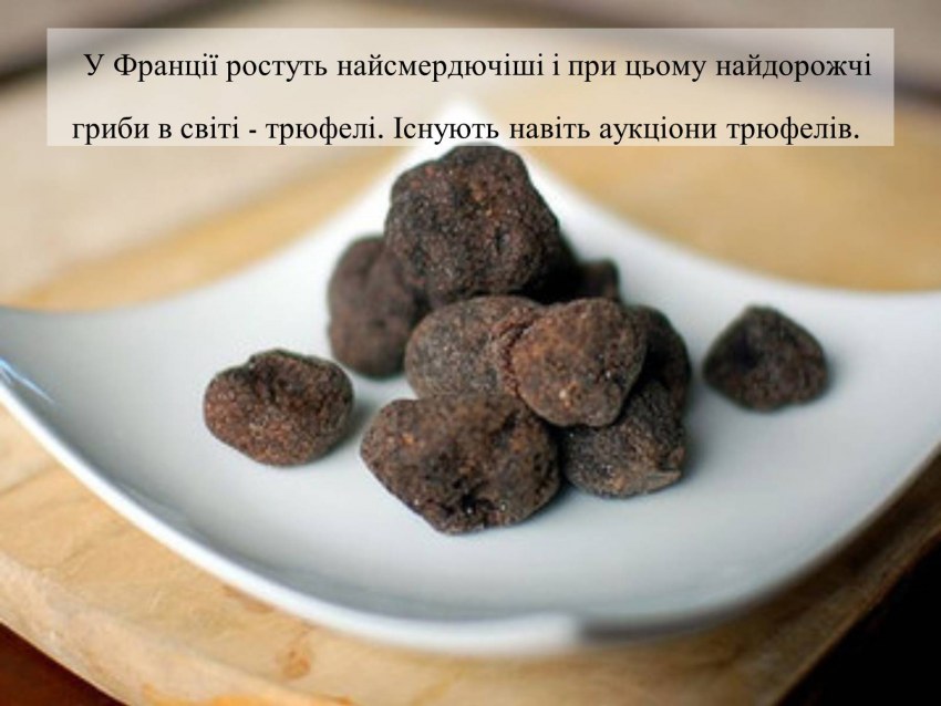 Трюфель на тарелке