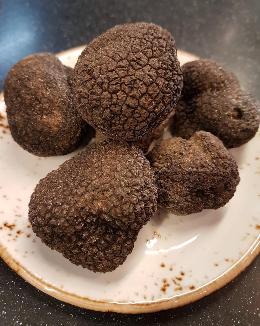 Кукурузный трюфель