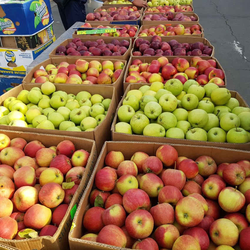 Apple 14