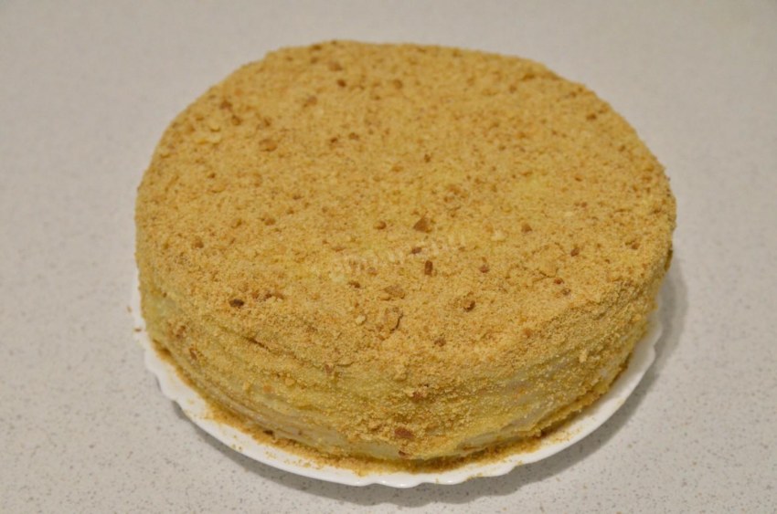 Коржи для торта на сметане
