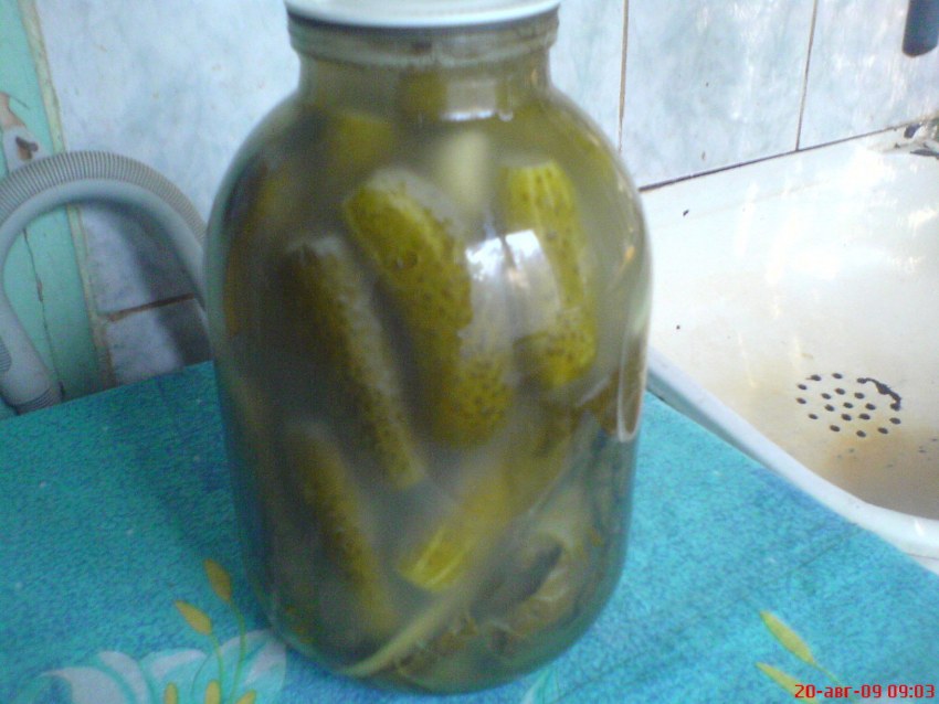 Банки с огурцами под капроновой крышкой