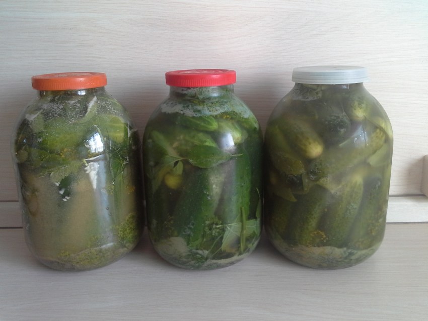 Огурцы маринованные