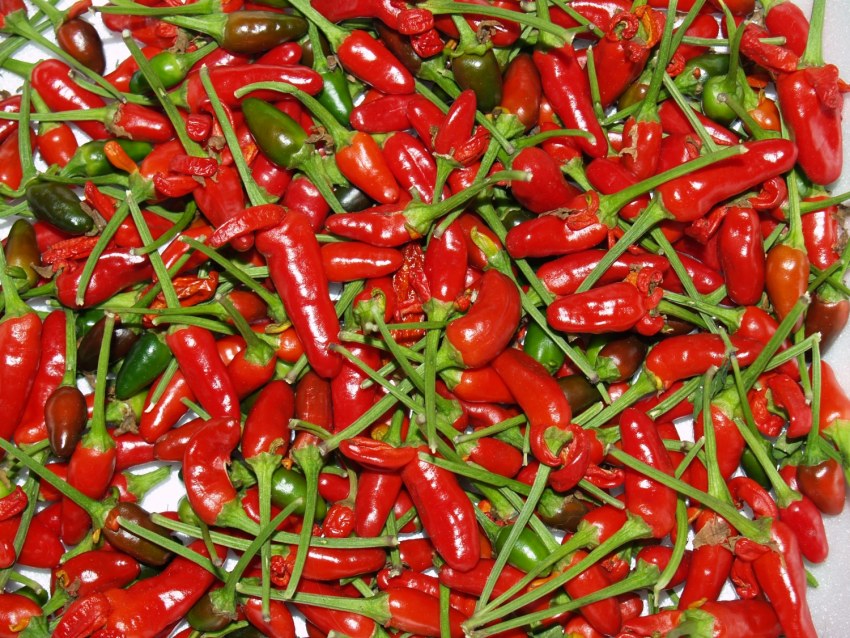Перец Чили красный
