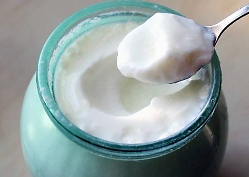 Простокваша из молока