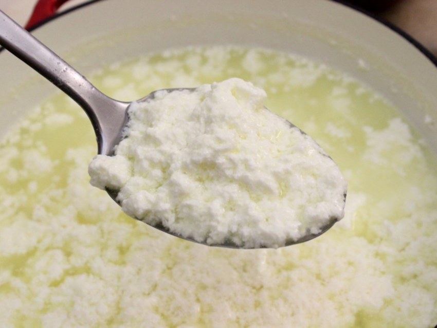 Творог долгожителей