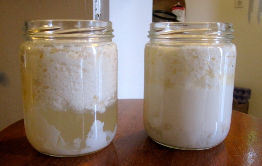 Скисшее молоко