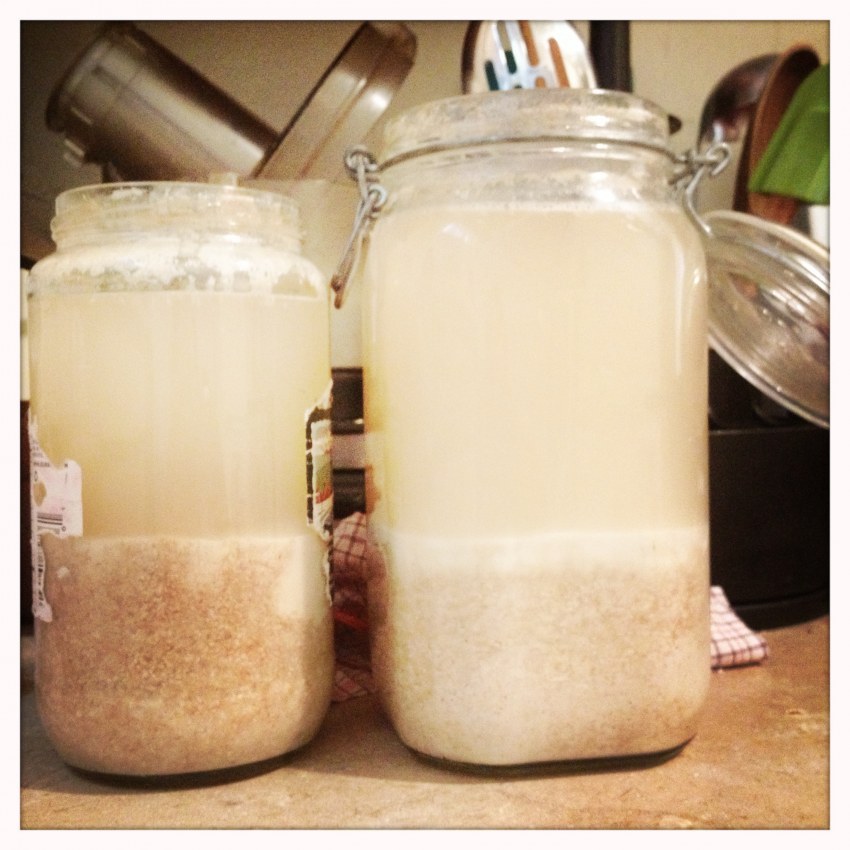 Брожение кисломолочных продуктов