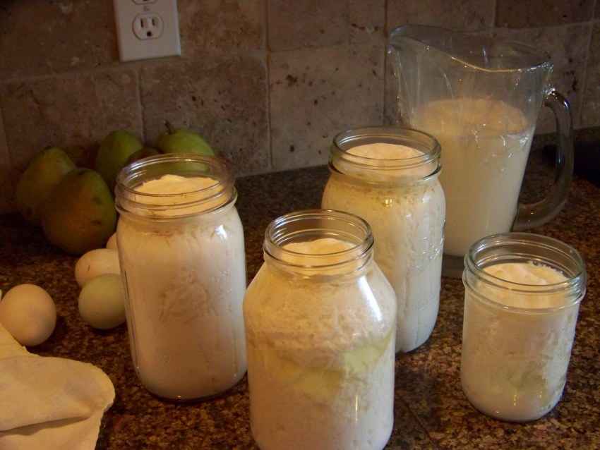 Простокваша домашняя