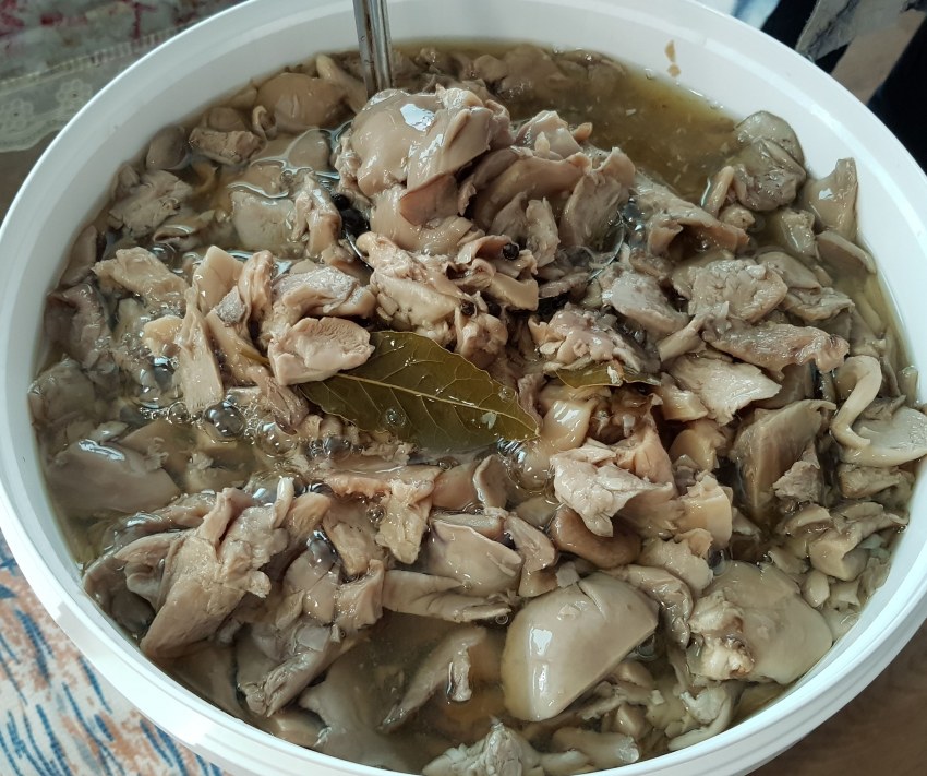 Приготовить вешенки