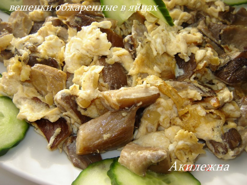 Вкусные блюда с грибами вешенками