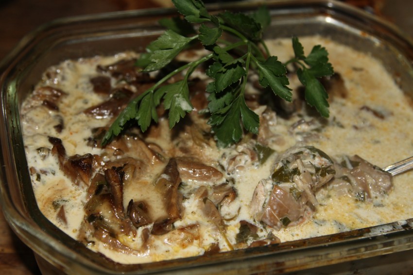 Сублимированные грибы как готовить