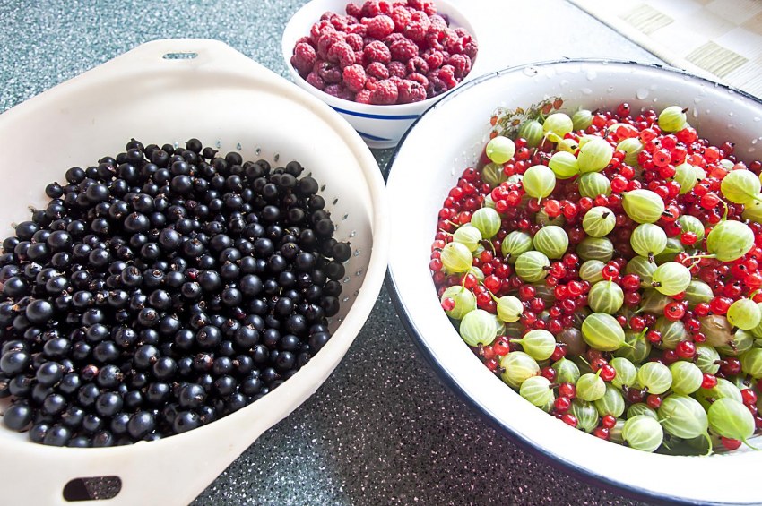 Смородина и крыжовник на тарелочке