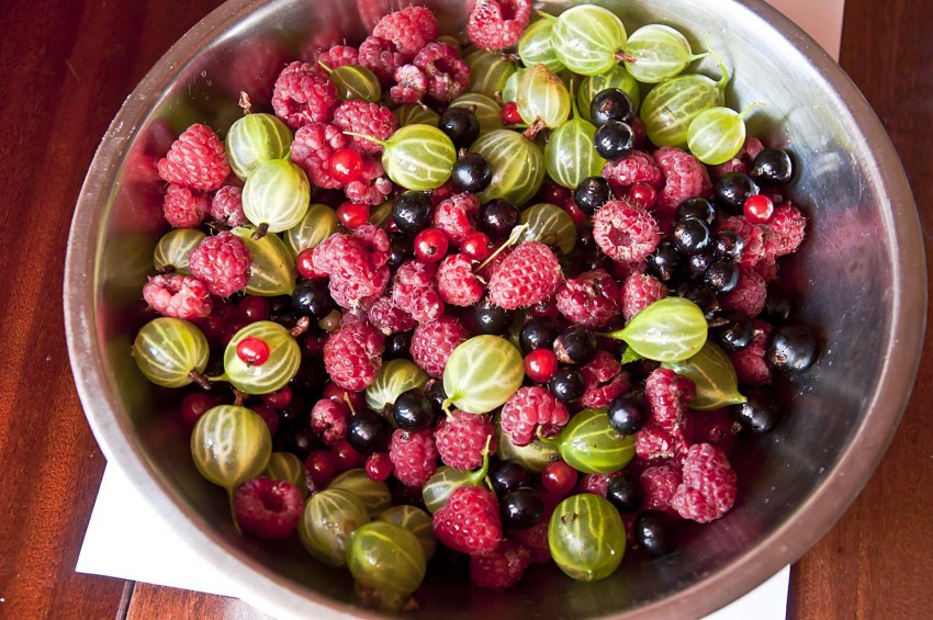 Желтая ягода для компота