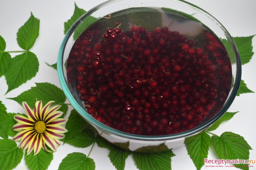 Компот из смородины в кастрюле