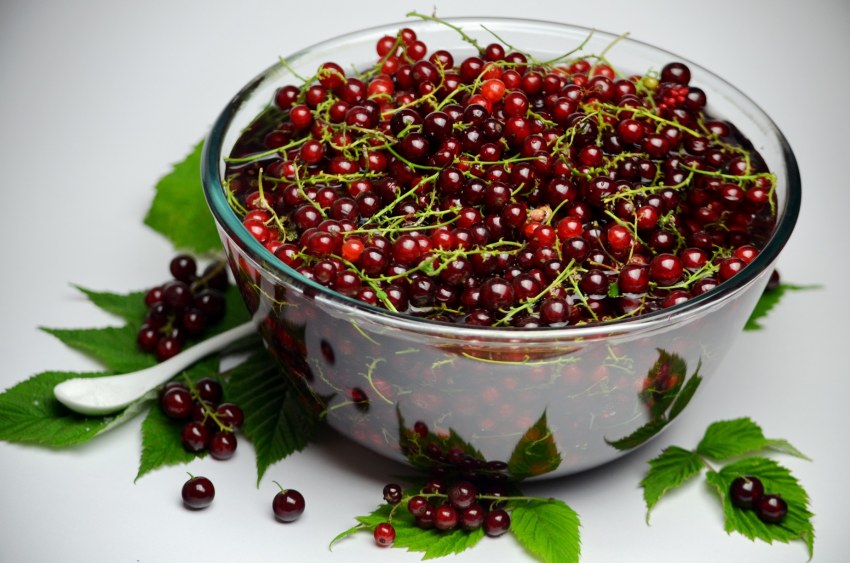 Кастрюля с ягодами